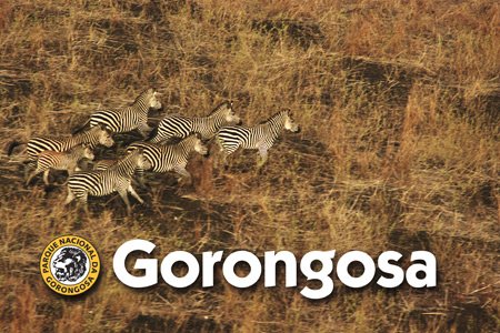  «Gorongosa» estreia domingo na SIC