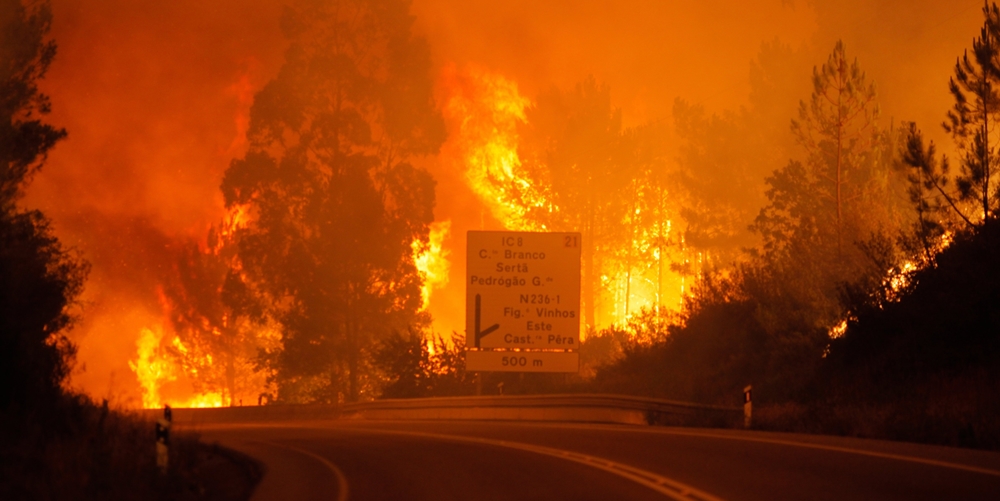  Odisseia recorda incêndios de Pedrógão Grande no especial «Mega Incêndios»