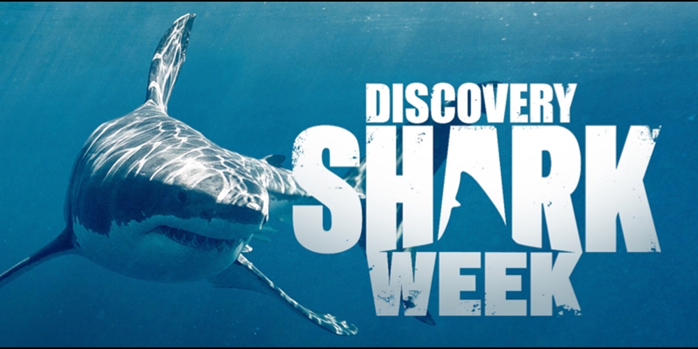Está a chegar a «Discovery Shark Week» ao Discovery Channel