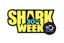  Conheça a programação da «Shark Week 2018» do Discovery Channel