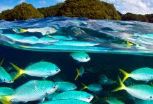  «Drenar os Oceanos» é a nova série do National Geographic