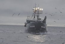 Discovery estreia nova temporada de «Pesca Radical»