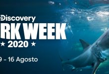  Discovery revela os destaques da «Shark Week 2020»