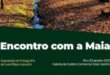  Qultura: «Encontro com a Maia» é o título da nova exposição de Luís Filipe Azevedo