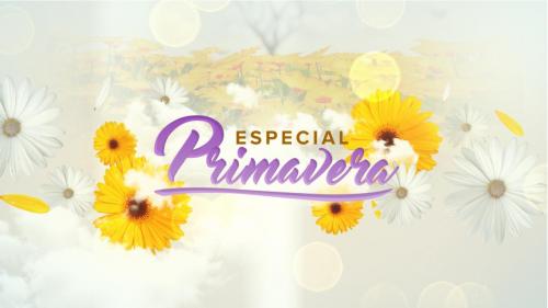  «Especial Primavera» da TVI perde para a concorrência