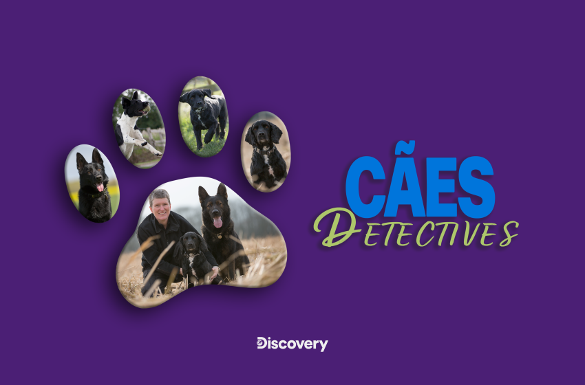  «Cães Detectives» é o novo programa do Discovery