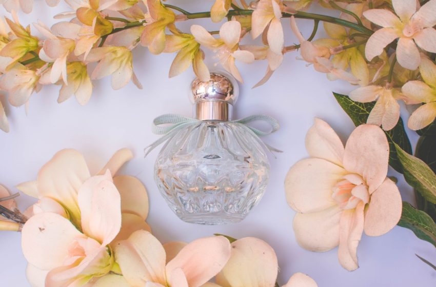 Perfumaria online: como escolher o perfume ideal através da internet?