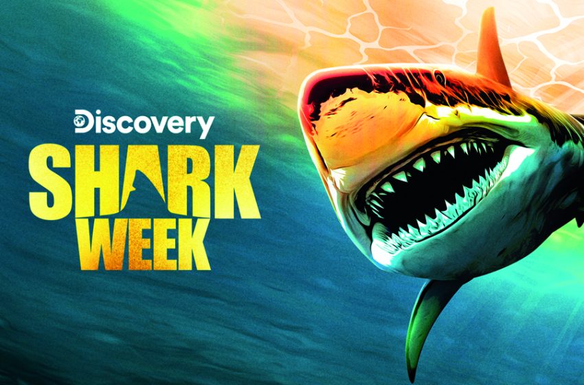 Conheça os destaques da «Shark Week 2023»
