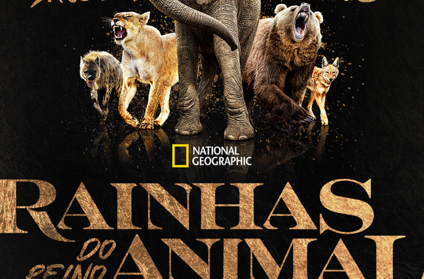  National Geographic revela trailer da série «Rainhas do Reino Animal»